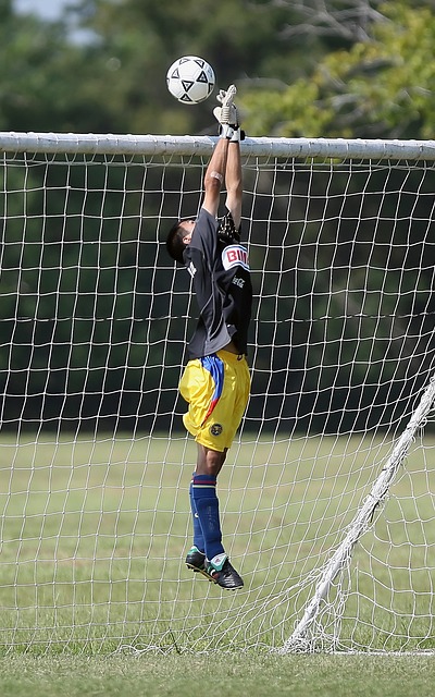 可以预见的 可以预见的