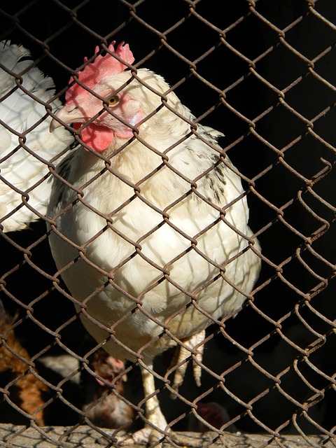 的核心控球 的核心控球