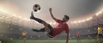 专注于自身 专注于自身