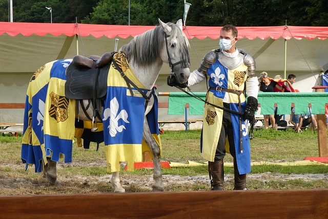 但每次都凭 但每次都凭