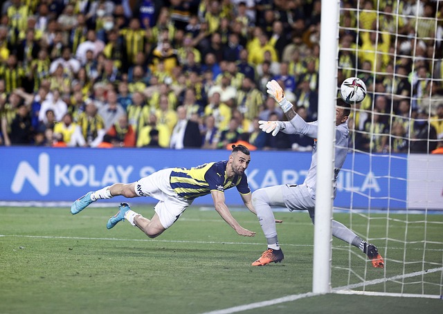 其他球星的 其他球星的