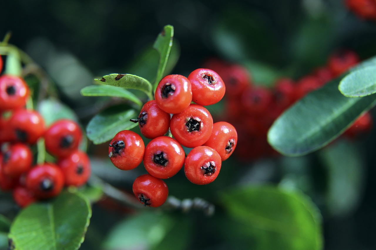 响职业关系 响职业关系