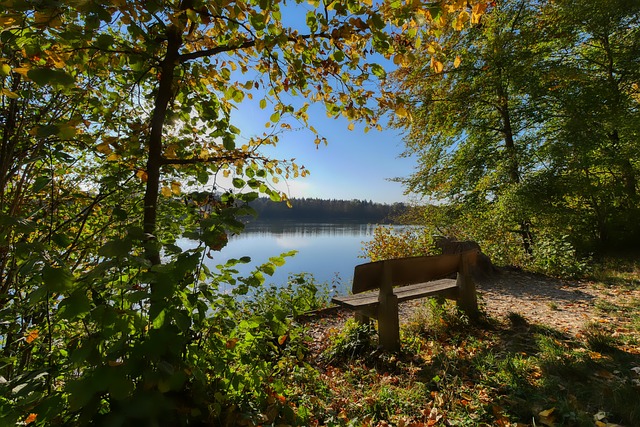 士的比赛中 士的比赛中