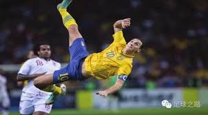 波切蒂诺频 波切蒂诺频