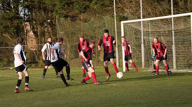 各地秋粮收购进入高峰 守住农民“种粮卖得出”底线.